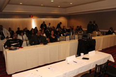 CIG_IMG207